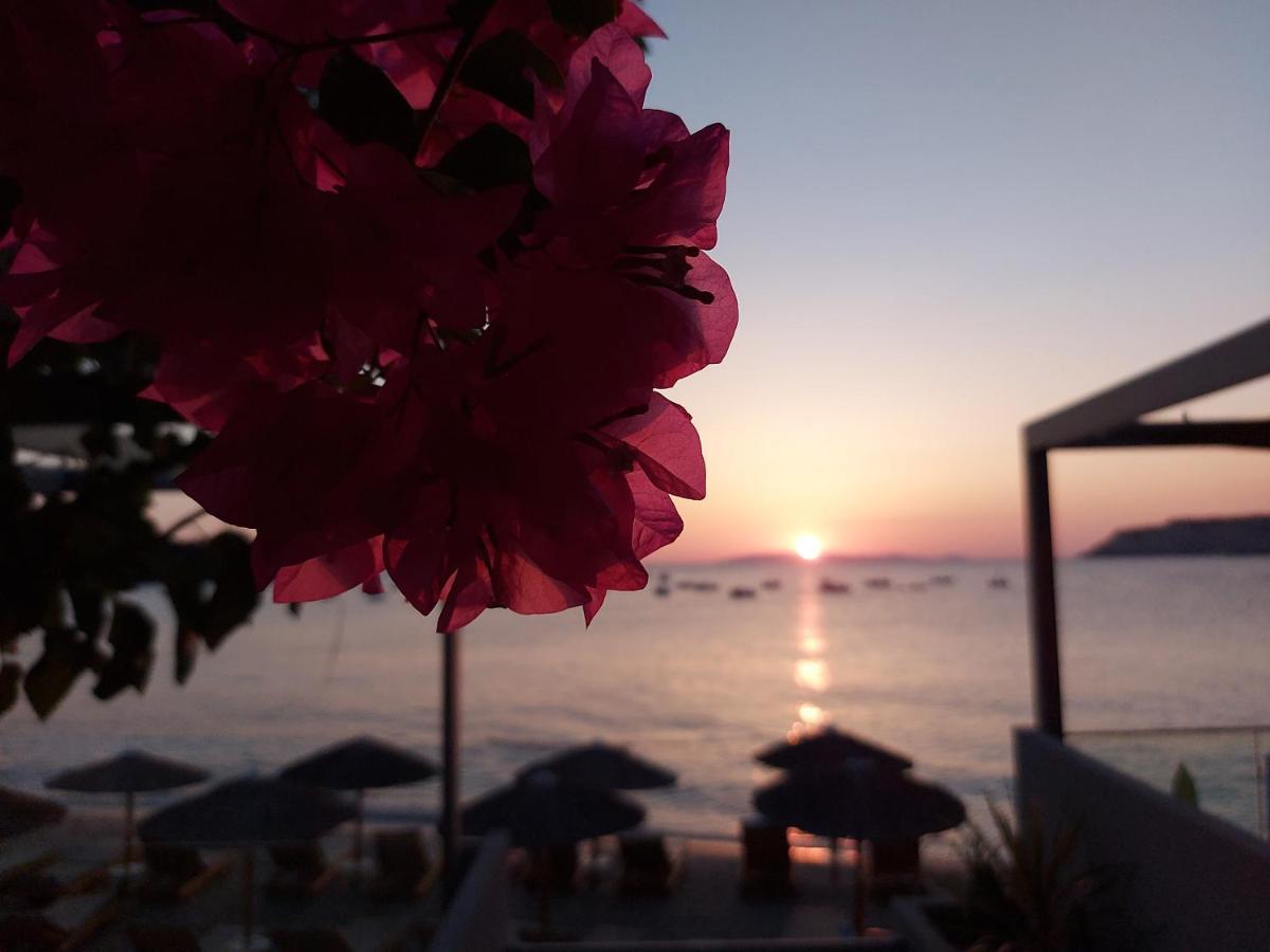 Buganvilla-Sea Front Villas Αγία Πελαγία  Εξωτερικό φωτογραφία